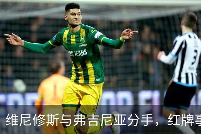 维尼修斯与弗吉尼亚分手，红牌事件引发关注或影响比赛